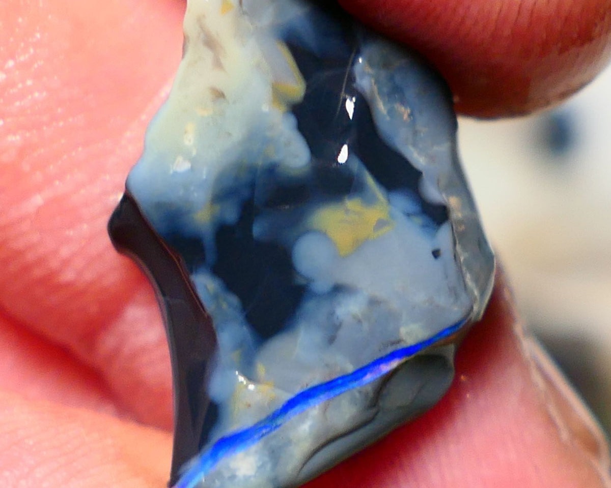 Mulga Rough Opal Gamble 9cts Dark Base Seam Blue fires in vertical bar to Cut / carve & polish 21x15x6mm Auction NS130