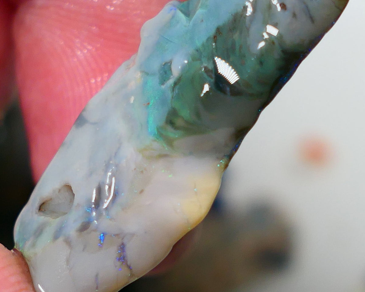 Mulga Rough Opal Gamble 17.75cts Dark Base Seam Blue / Green /orange fires to  cut and explore 32x14x5mm Auction NS078