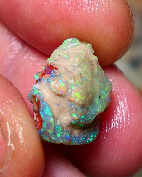 Lightning Ridge Rough Opal 10cts Untouched Knobby rough with Gemmy Gorgeous Multicolours to explore 18x14x11mm Auction NS070