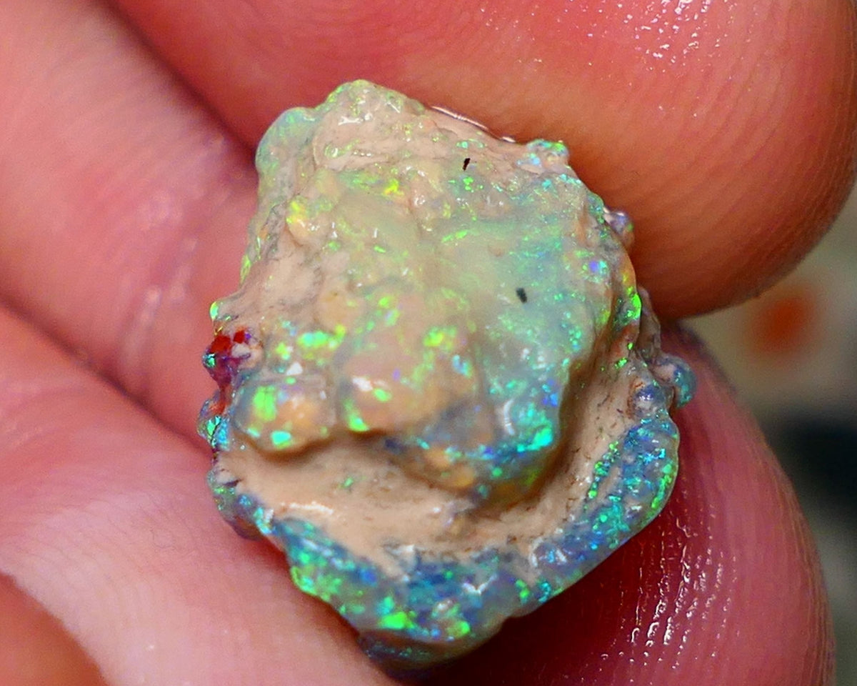 Opal Fever Mate Auction