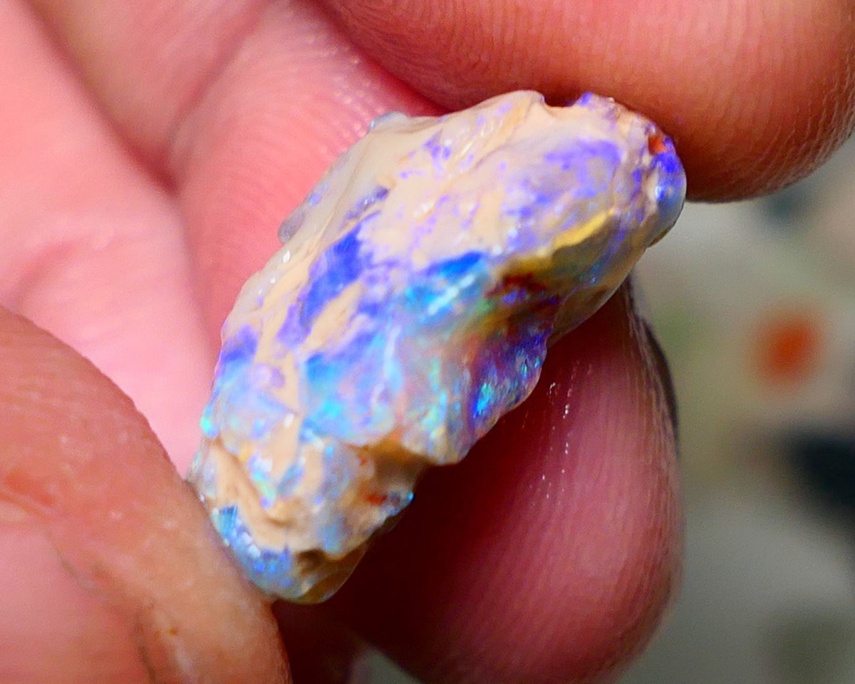 Opal Fever Mate Auction