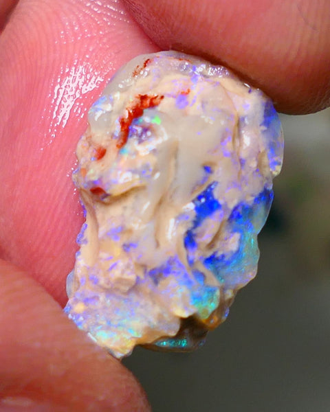 Lightning Ridge Rough Opal 10cts Crystal Base Gamble Knobby formation Light blue/Blue fires 21x12x8mm Auction NS069