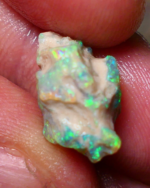 Lightning Ridge Rough Opal 7.25cts Untouched Knobby rough with Gorgeous Multicolours to explore 16x10x10mm Auction NS068