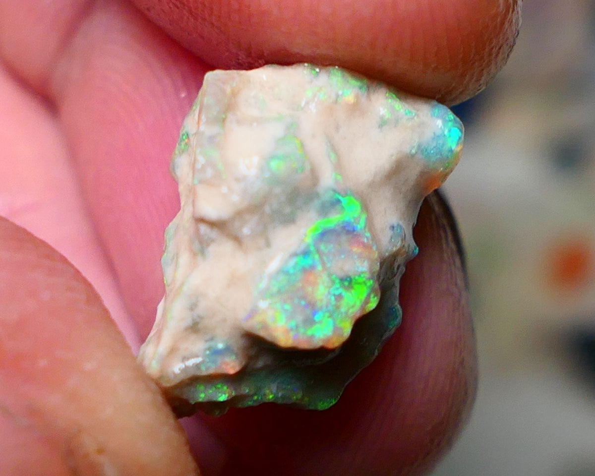 Opal Fever Mate Auction