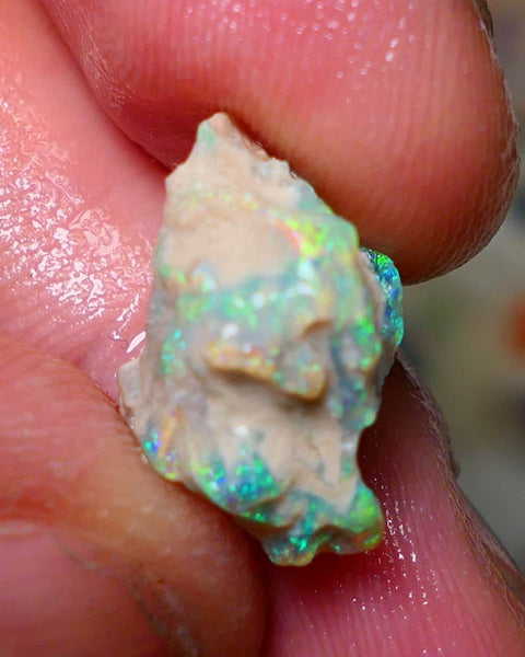 Lightning Ridge Rough Opal 7.25cts Untouched Knobby rough with Gorgeous Multicolours to explore 16x10x10mm Auction NS068