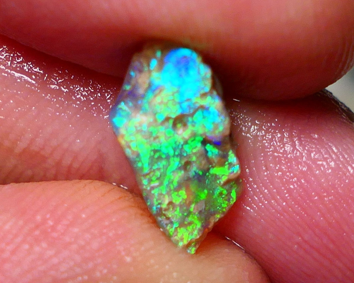 Opal Fever Mate Auction