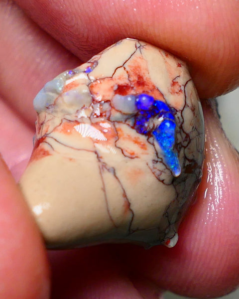 Lightning Ridge Rough Opal 17cts Dark Base Crystal Gamble Seam formation Gorgeous Electric blue fires 22x18x11mm Auction NS064