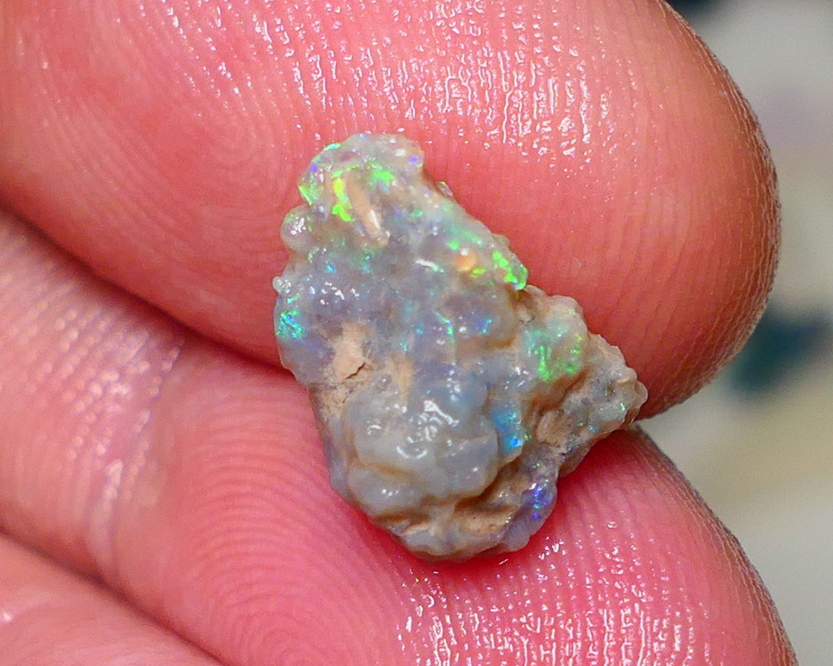 Lightning Ridge Rough Opal 3.60cts Untouched Knobby rough with Gorgeous Multicolours to explore 13x9x7mm Auction NS062