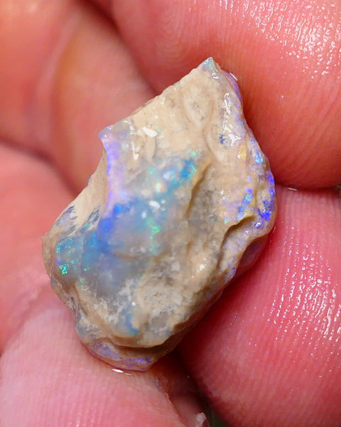 Lightning Ridge Rough Opal 15.75cts Dark Base Crystal Gamble Knobby formation Gorgeous blue/green fires 21x13x12mm Auction NS060