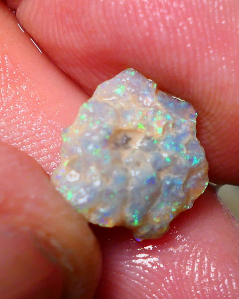 Lightning Ridge Rough Opal 3.80cts Untouched Knobby rough with Gorgeous Multicolours to explore 14x12x5mm Auction NS057