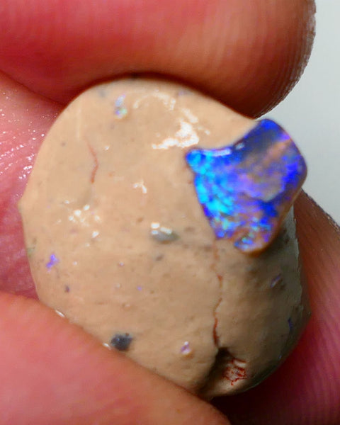 Lightning Ridge Rough Opal 10cts Bright Gemmy blues in Crystal base Seam sat on host rock 19x15x7mm NS084