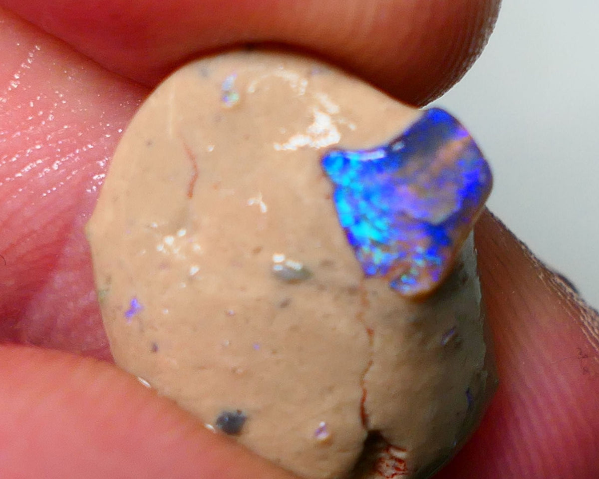 Lightning Ridge Rough Opal 10cts Bright Gemmy blues in Crystal base Seam sat on host rock 19x15x7mm NS084