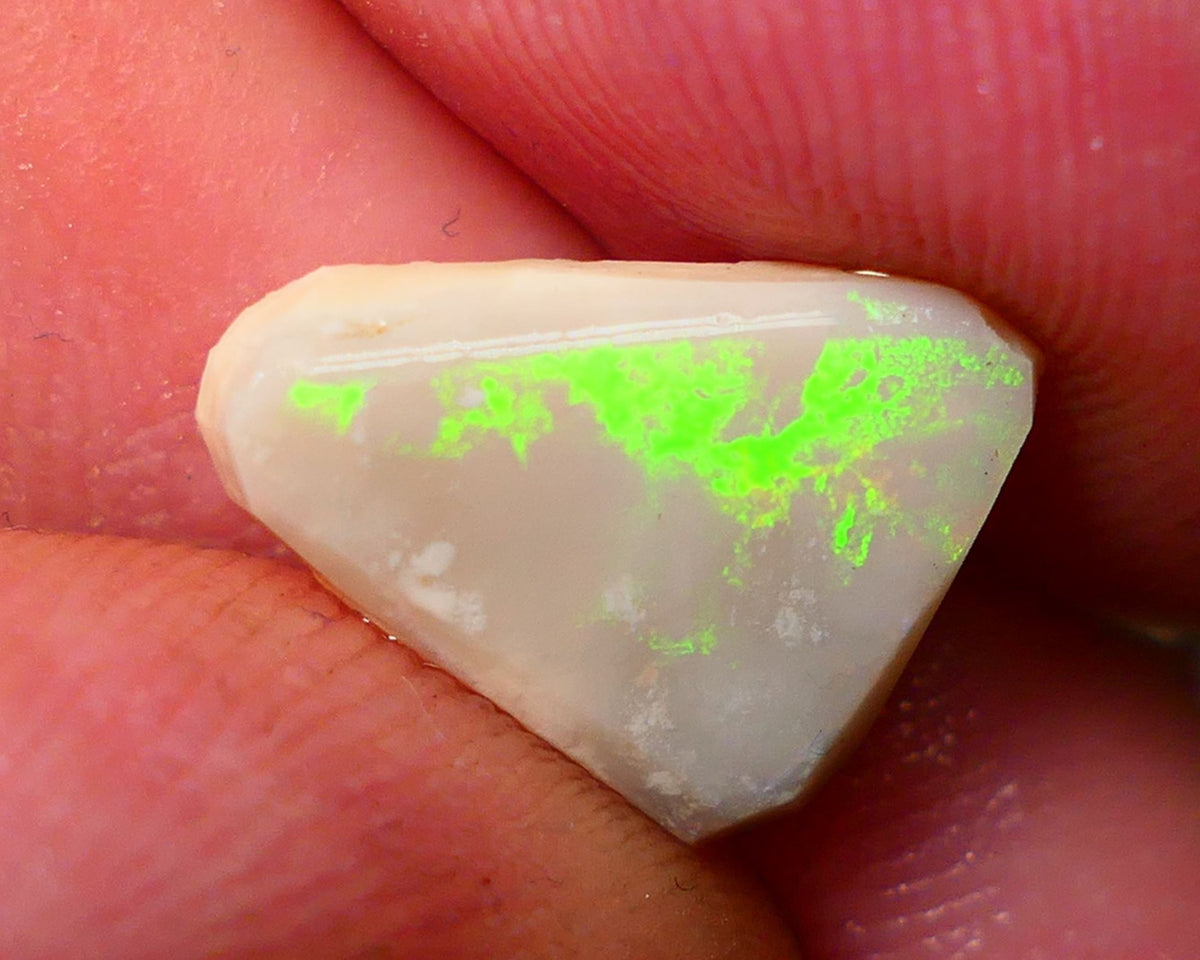 Lightning Ridge Rough / Rub Dark Seam opal 2.75cts Nice Yellow Fires  13x10x3mm NS121