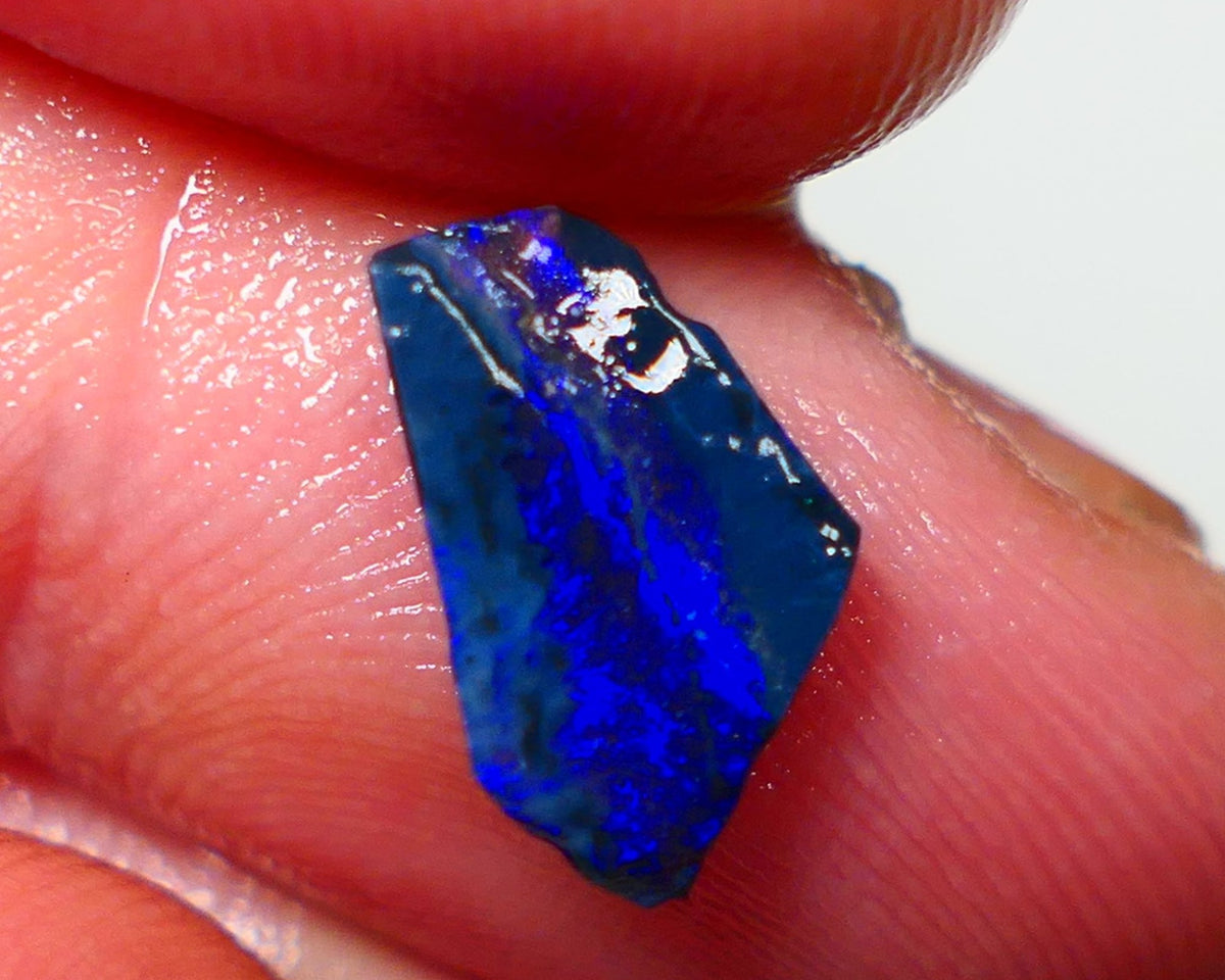 Lightning Ridge Rough / Rub opal Miners Bench® 1.25cts Bright Blues on black double sided 12x7x2mm AUCTION NS094