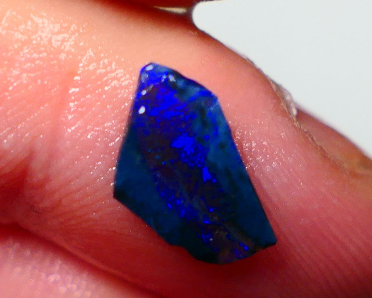 Lightning Ridge Rough / Rub opal Miners Bench® 1.25cts Bright Blues on black double sided 12x7x2mm AUCTION NS094