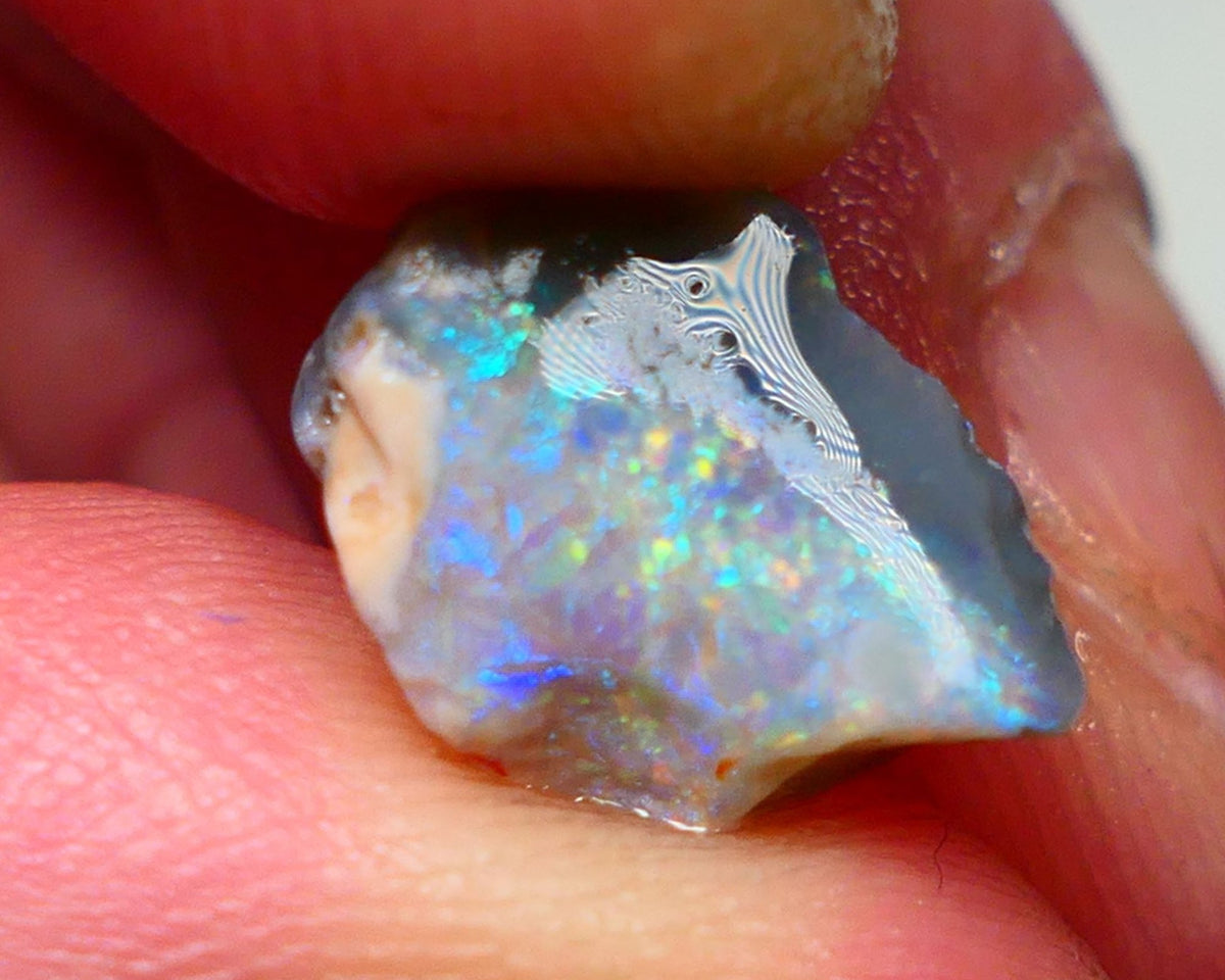 Interesting Dark Base Knobby Rough / Rub opal Miners Bench® 2.90cts Reds & Blue M.Fires 13x10x4mm AUCTION NS092