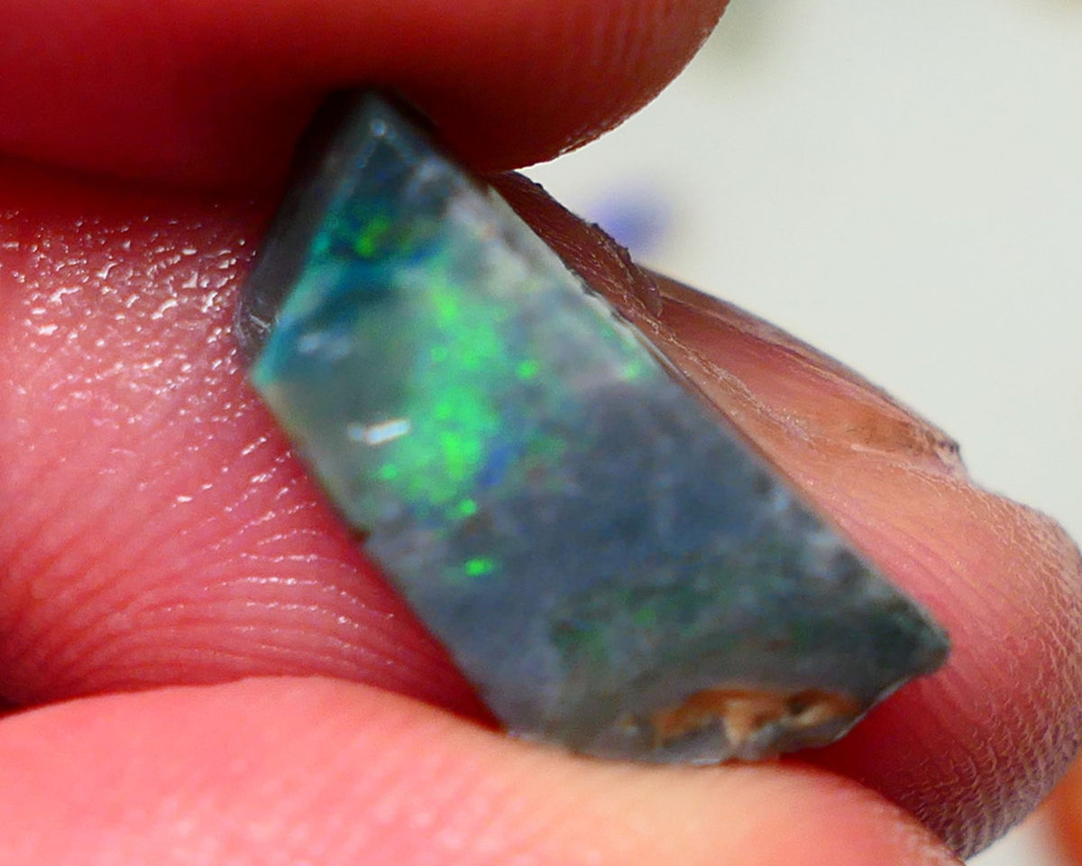 Lightning Ridge Rough / rub Opal 6cts Black Base Seam Green dominant colours 17x8x6mm Auction NS113