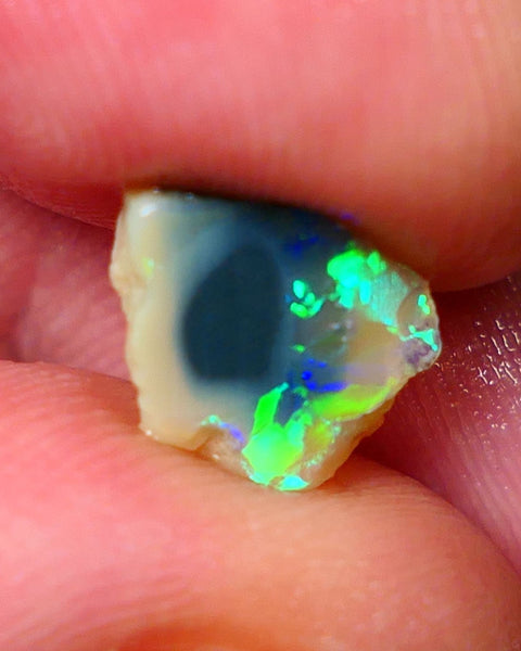 Lightning Ridge Rough / Rub knobby opal Miners Bench® 1.85cts Exotic Bright Yellow/Green/Blue/Teal Fires 10x9x3mm AUCTION NS091