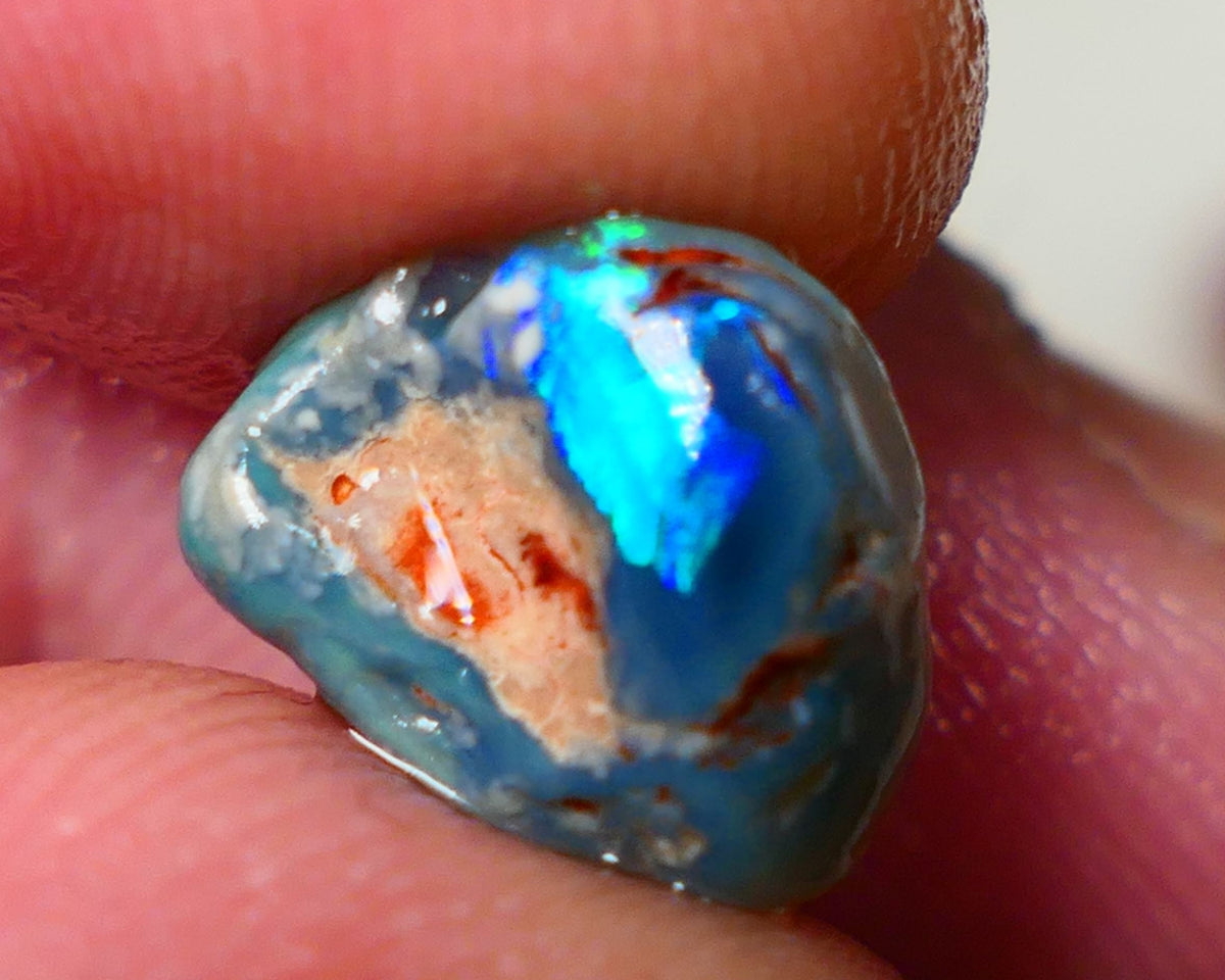 Lightning Ridge Rough / Rub opal Miners Bench® 3.40cts Very Bright Blue/Teal Fires 11x10x5mm AUCTION NS089