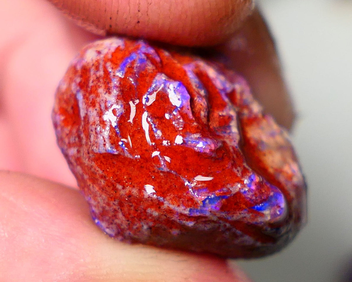 Lightning Ridge Rough Opal 18cts Dark Base Gamble Knobby formation Nice blue fires 20x15x12mm NS110