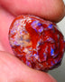 Lightning Ridge Rough Opal 18cts Dark Base Gamble Knobby formation Nice blue fires 20x15x12mm NS110