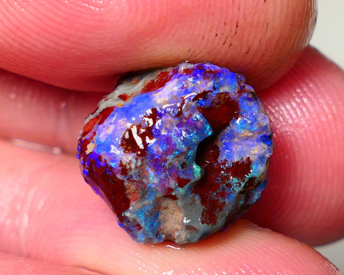 Lightning Ridge Rough Opal 7.75cts Dark Base Gamble Knobby formation Gorgeous blue fires 14x14x9mm Auction NS106