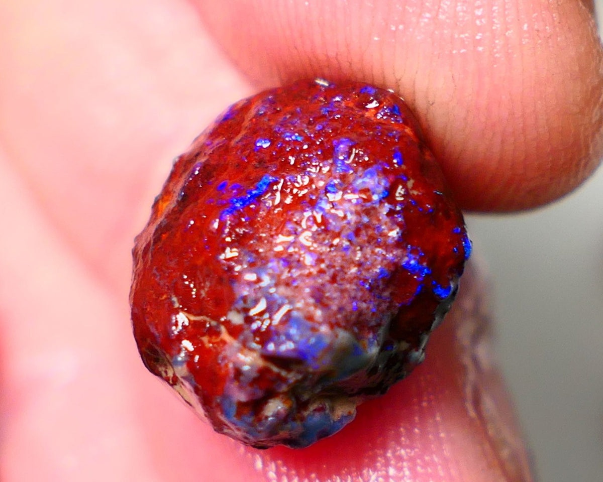 Lightning Ridge Rough Opal 11.50cts Dark Base Gamble Knobby formation Nice blue fires 15x13x10mm Auction NS104