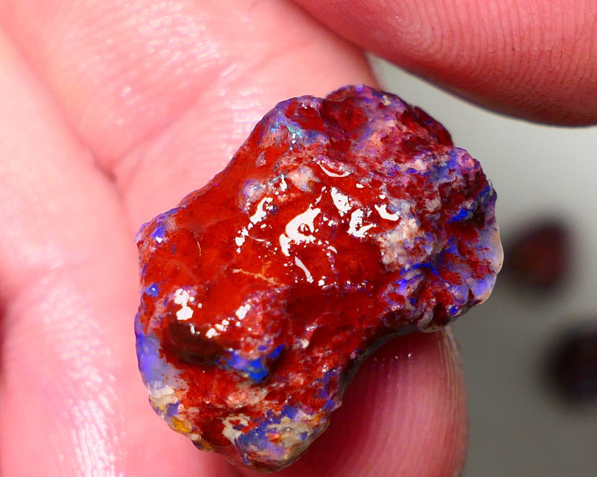 Lightning Ridge Rough Opal 13.50cts Dark Base Gamble Knobby formation Nice blue fires 22x14x8mm Auction NS102