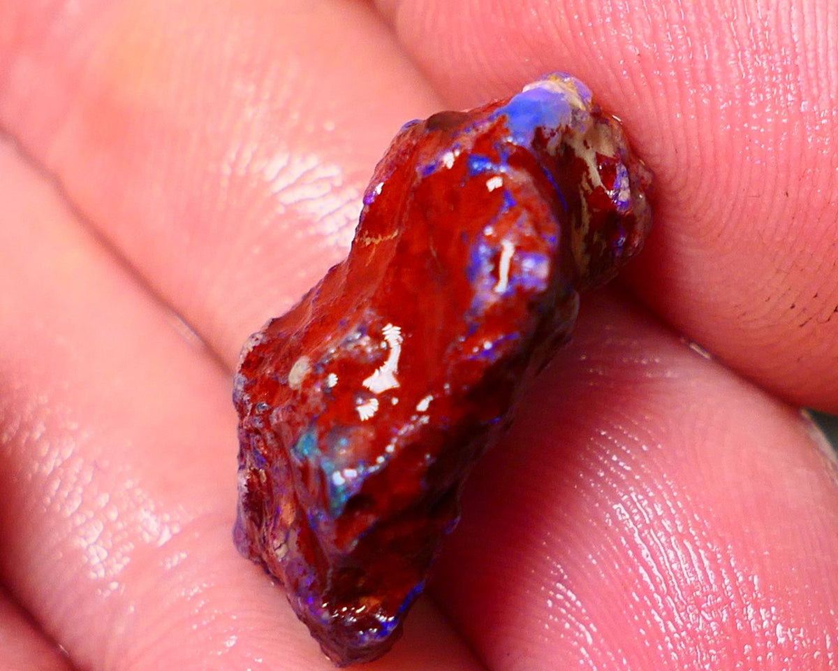 Lightning Ridge Rough Opal 13.50cts Dark Base Gamble Knobby formation Nice blue fires 22x14x8mm Auction NS102