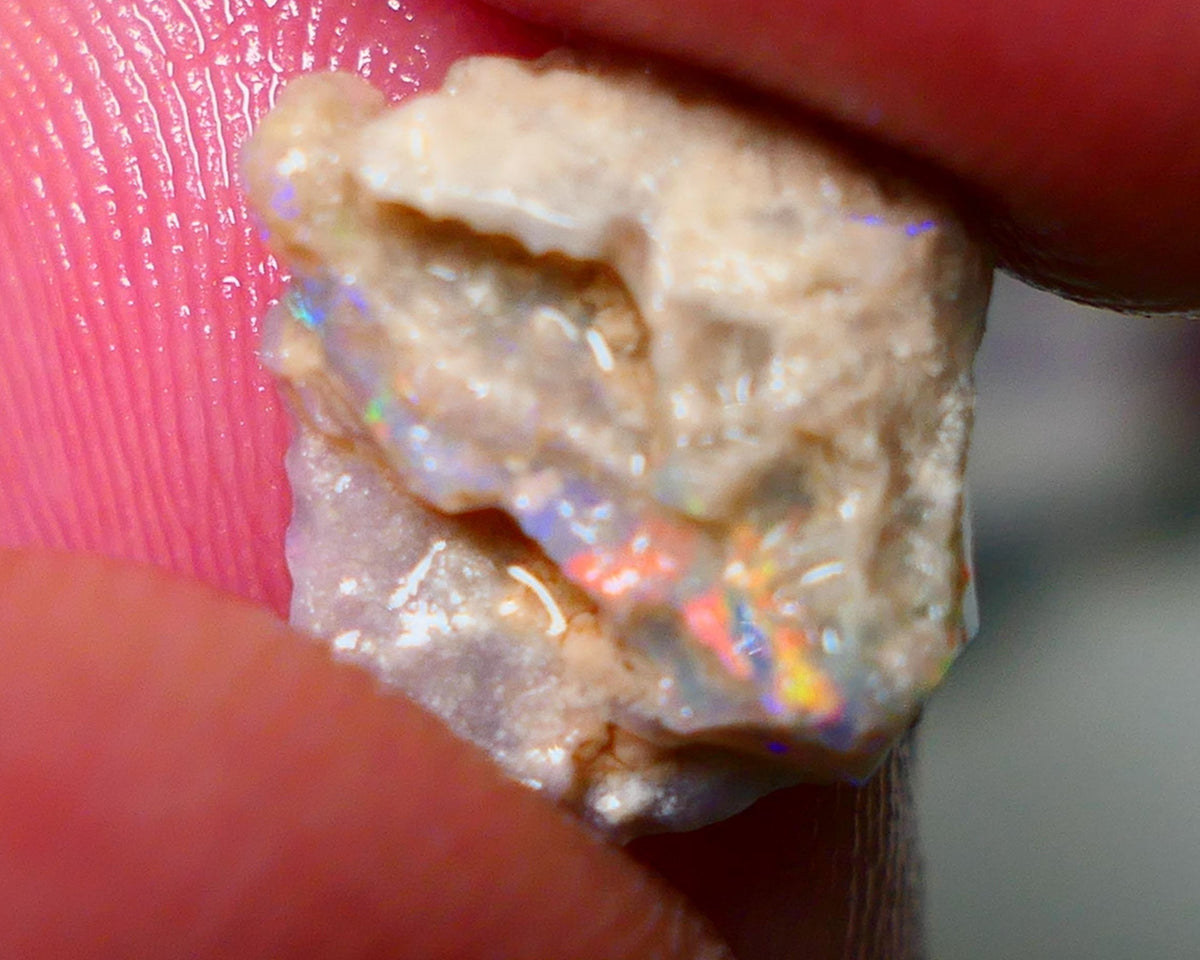 Lightning Ridge Rough Opal 2.25cts Dark Crystal Knobby formation showing Orange/Red/Yellow 11x10x4mm NS162