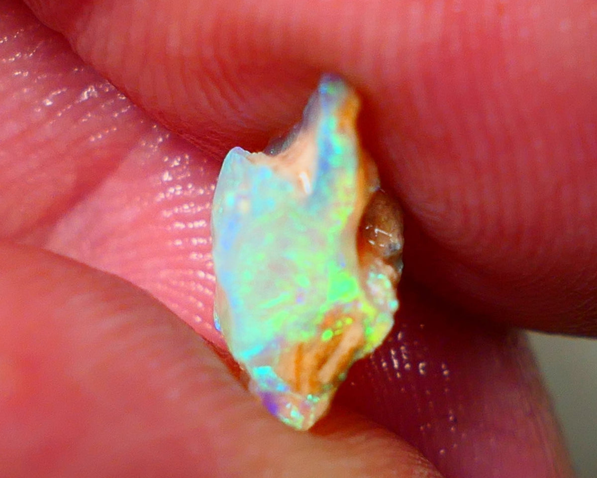 Lightning Ridge Rough Opal 2.15cts Crystal Seam rough with Gorgeous Gemmy Multicolours to explore 12x7x6mm NS172