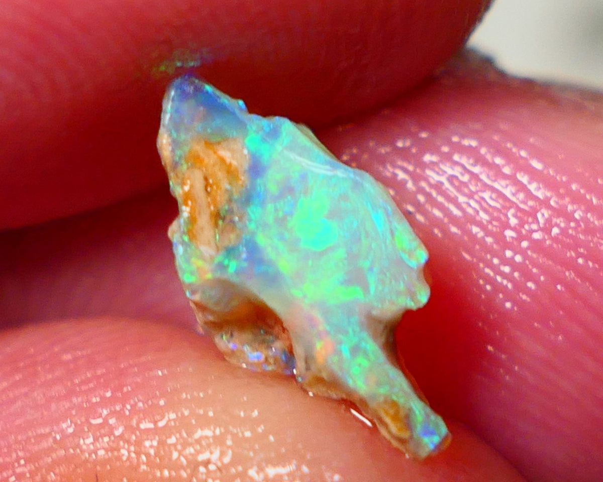 Lightning Ridge Rough Opal 2.15cts Crystal Seam rough with Gorgeous Gemmy Multicolours to explore 12x7x6mm NS172