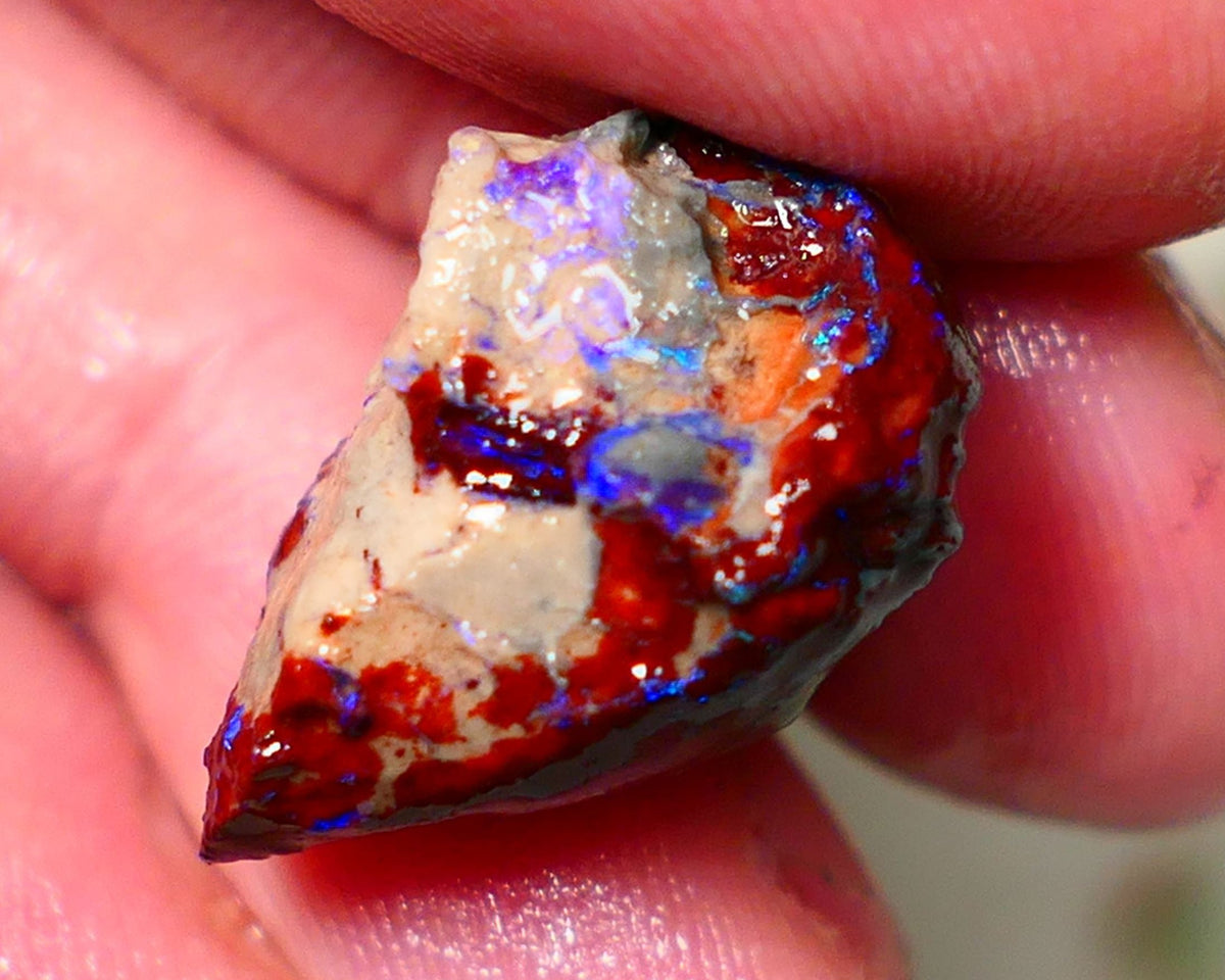 Lightning Ridge Rough Opal 17cts Dark Base Gamble Knobby formation Nice blue fires 22x15x14mm Auction NS152