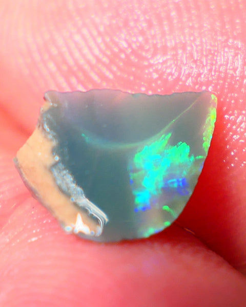 Lightning Ridge Rough / Rub Seam opal Miners Bench® 1.60cts Exotic zone of Bright Green/Yellow/Blue/Teal Fires 11x7x5mm AUCTION NS151