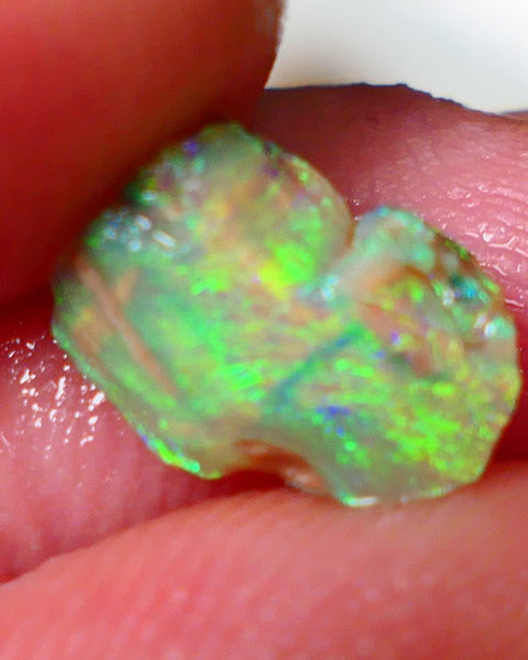 Opalised fossil Stunning Multi colour 1.30cts Rub rough Lightning Ridge 10x8x3mm NSW025