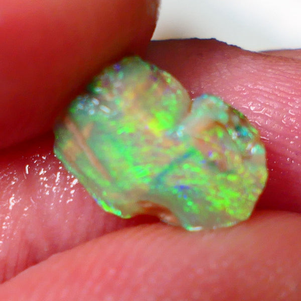 Opalised fossil Stunning Multi colour 1.30cts Rub rough Lightning Ridge 10x8x3mm NSW025