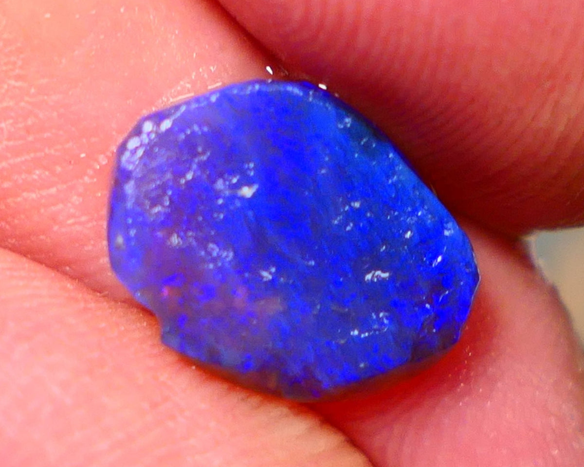 "Moody Blues" Black Crystal Opal Miners Bench® Knobby Rough Rub 2.30cts Amazing Bright Vibrant Blues 13x10x2.5mm NSW028