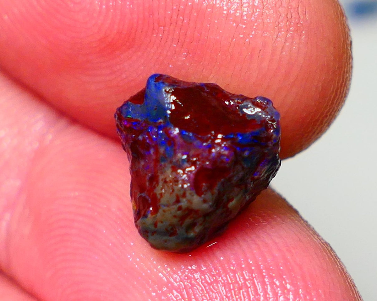 Lightning Ridge Rough Opal 4.50cts Dark Base Gamble Knobby formation Nice blue fires 12x10x9mm NS171