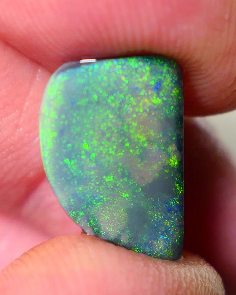 Lightning Ridge Opal Big Picture stone Rough/Rub Dark Base From the Miners Bench® 4.50cts Lovely Yellow/Green dominant multifires 16x10x3mm NS195