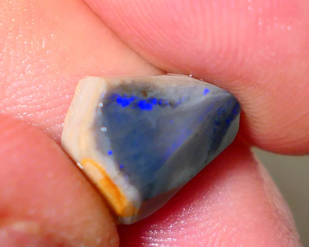 Lightning Ridge Rough Rub Directional Picture stone Opal 4.50cts Dark Base Seam Blue Fires exposed to face 13x10x5mm NS191