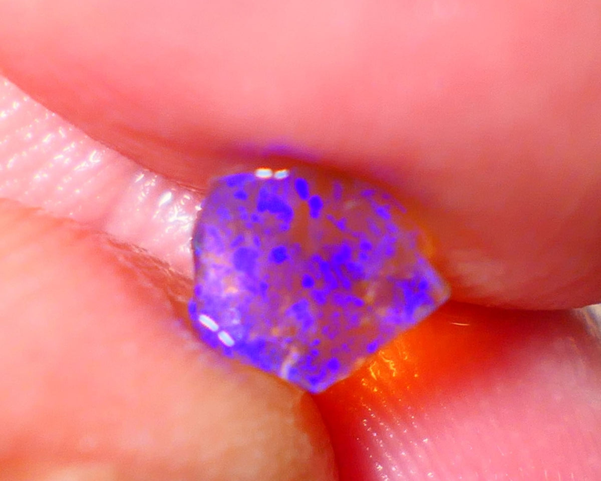 Lightning Ridge Opal Dark Crystal Base Seam Rough Rub 0.55cts Clean Gem Bright Blue fires 7x6x1.5mm NS186