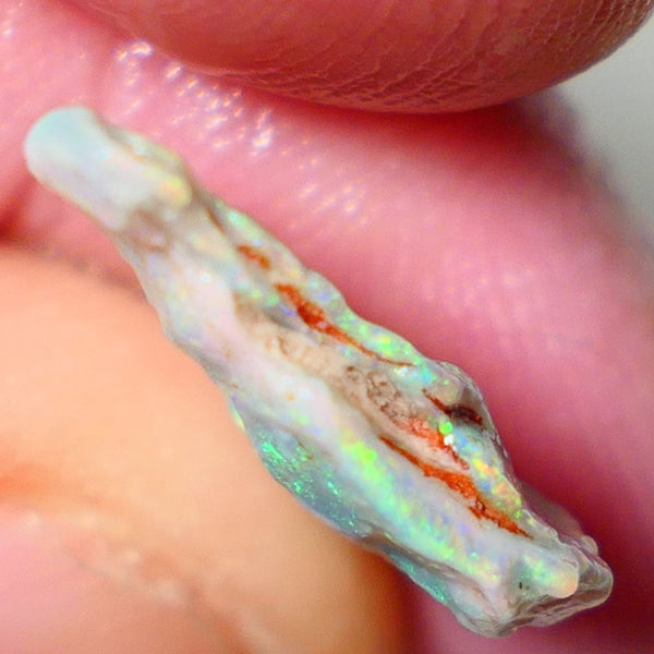 Mulga Rough Opal 5.00cts Dark Base Seam Nice Yellow/Orange Dominant M.fires to Cut / carve & polish 18x14x3mm NSW031