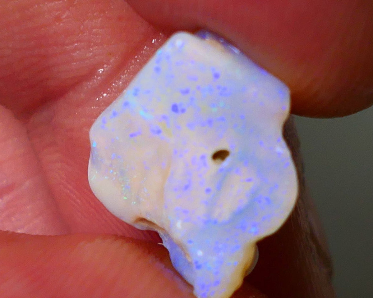 Lightning Ridge Rough Opal 5.75cts Light base Seam showing lots Nice blue colours 13x13x7mm NS183