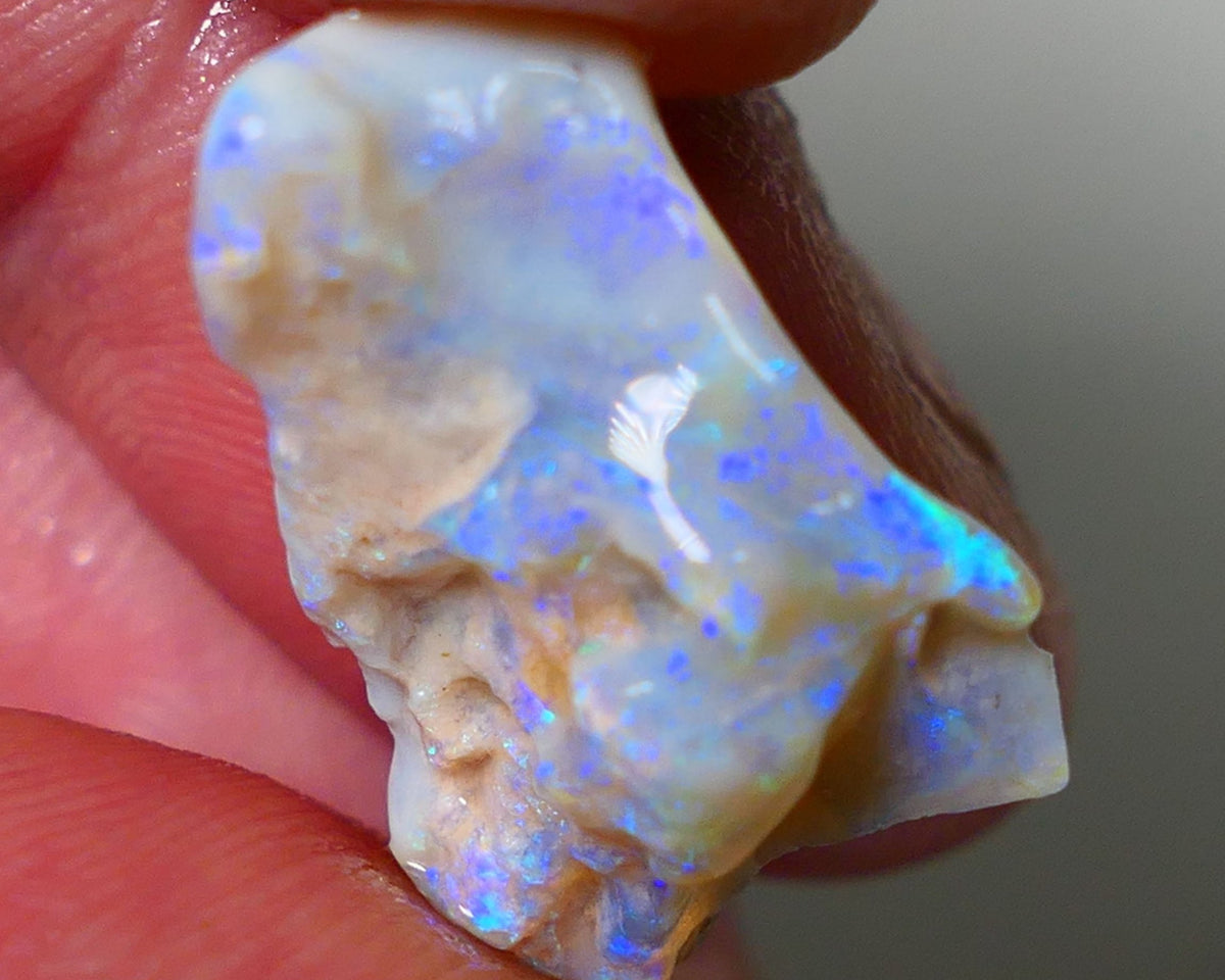 Lightning Ridge Rough Opal 11.25cts Light base Seam showing lots Nice blue colours 21x14x9mm NS180