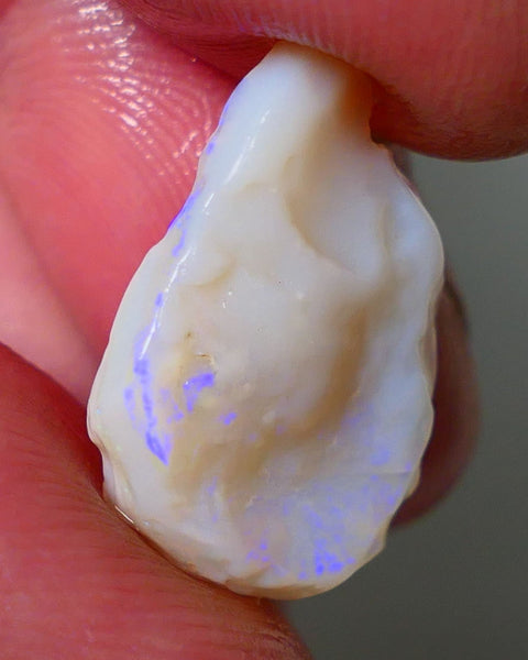 Lightning Ridge Rough Opal 8.00cts Light base Seam showing Nice blue colours 21x14x5mm NS179