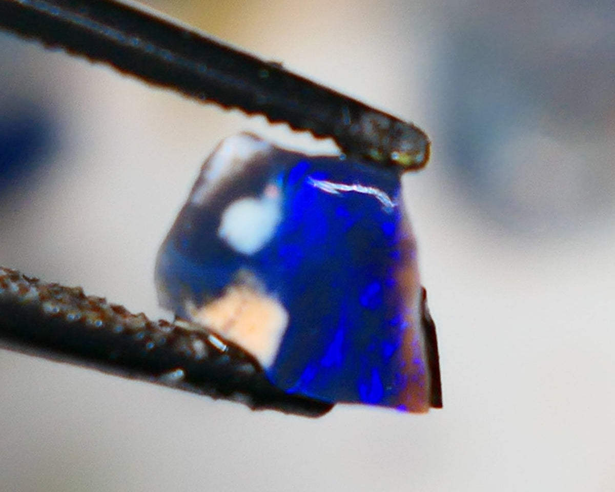 Mulga® Bright Royal Blue dominant fires on Black/DarkOpal Rough Rub Miners Bench® 0.50cts Gorgeous face 6x6x3mm NS210