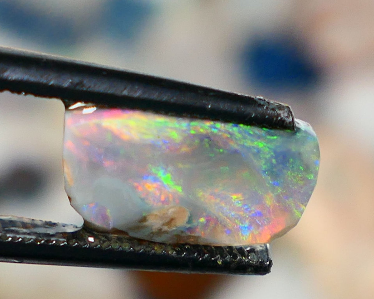 Lightning Ridge Opal Rough/Rub Dark Base From the Miners Bench® 1.75cts Bright & gorgeous Orange/Pink dominant M.fires 12x6x2.5mm NS207