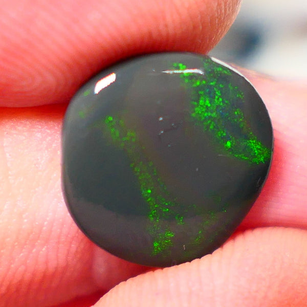 Lightning Ridge Rough / Rub Seam opal Miners Bench® 3.80cts Greens on Black 14x13x2.5mm NS203