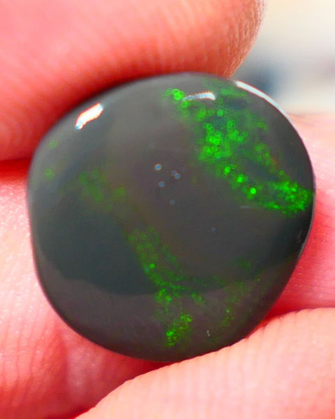 Lightning Ridge Rough / Rub Seam opal Miners Bench® 3.80cts Greens on Black 14x13x2.5mm NS203