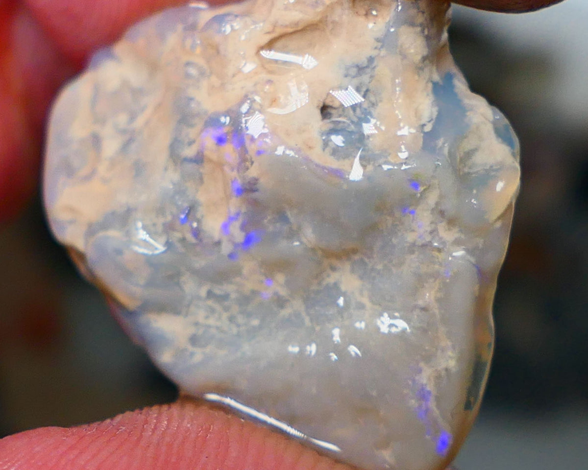 Lightning Ridge Rough Opal 13.00cts Seam Grey base Nice Blue fires in the bar 24x21x5mm NS214